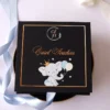 Cutie cerere nasi de botez Black Couture Licheni
