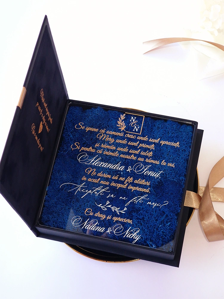 Cutie cerere nasi de cununie Noir Chapter Cutie cerere nasi de cununie Noir Chapter